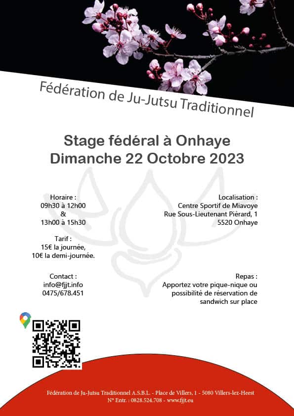 Stage fédéral