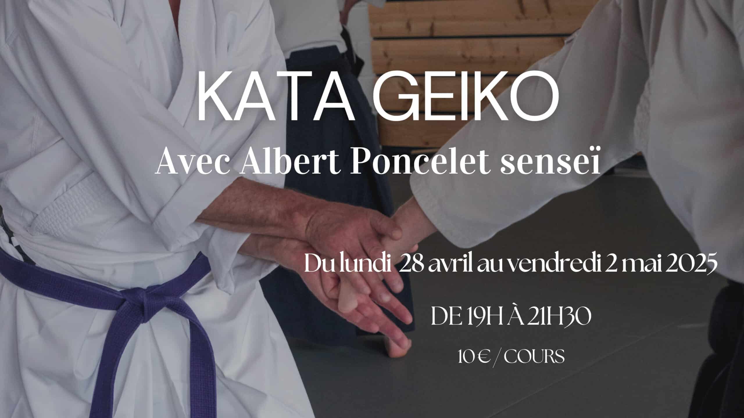 Kata Geiko